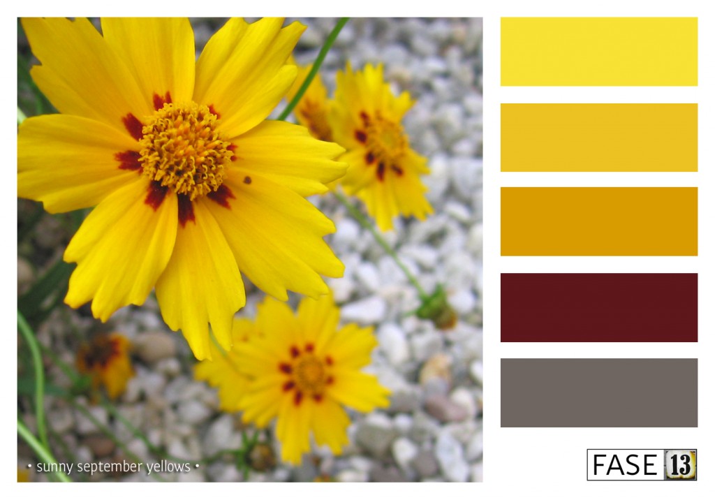 fase13 kleurinspiratie voor je interieur, sunny september yellows